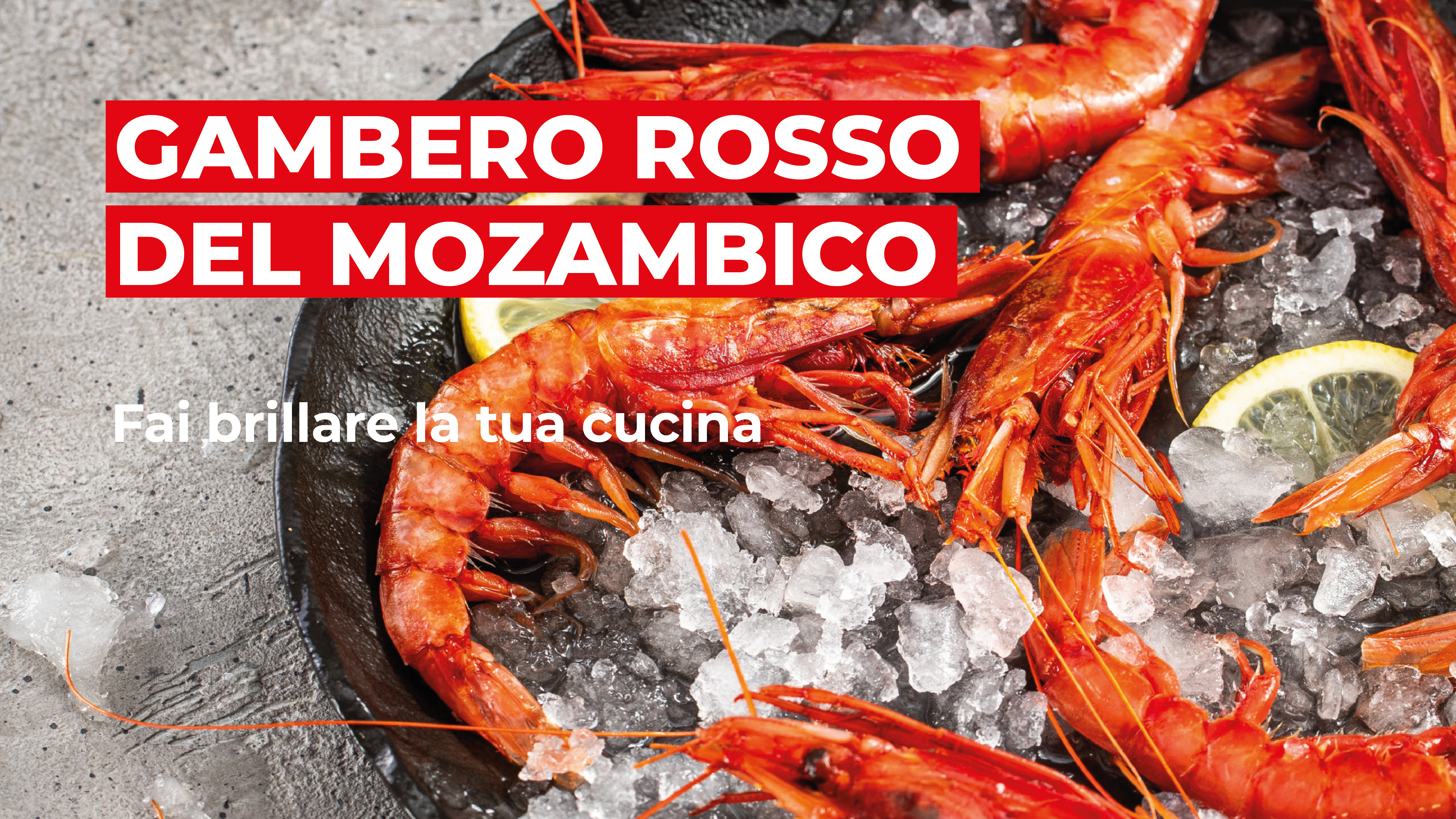 MARR: la nostra selezione di pesce fresco